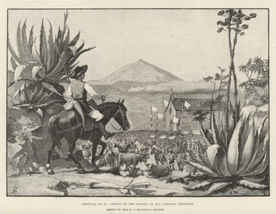 Festival of St Antony at the Chapel of San Antonio, Tenerife by Amedee Forestier
